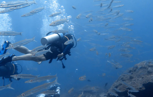 潜水入门必看知识——入门ow